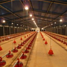 Light Steel Building Material Steel Structure Broiler Chicken House