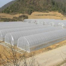 Metal Frame Aluminium Polycarbonate Garden Greenhouse