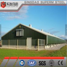 Steel Structure Building Poultry Chicken Barn Broiler Farm House