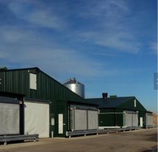  Low Cost Economic Poultry House with Full Equipment