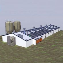  Steel Structure Broiler House Poultry House